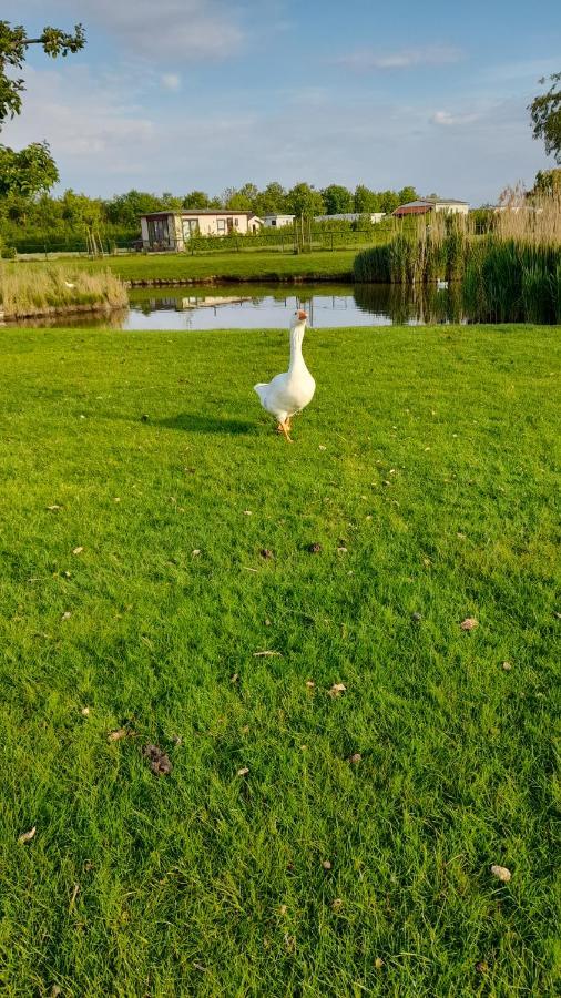 'T Blauwtje Baarland Villa Esterno foto