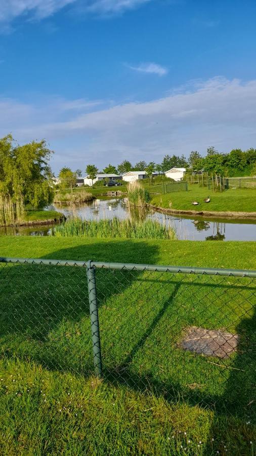 'T Blauwtje Baarland Villa Esterno foto